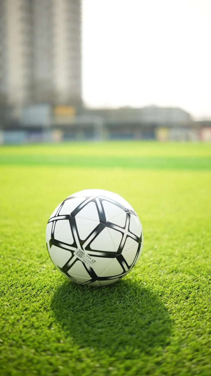 下载球探足球比分比手机版应用